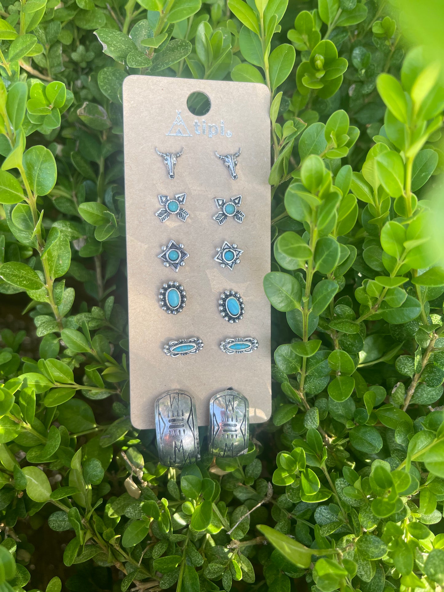 Western earring set with six pairs of earrings including a bull head stud, a variety of 4 turquoise studs, and one chunky hoop